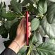 Смартфон Apple iPhone XR, 64GB, 2018, RED, АКБ 78%  2000000102139 фото 4