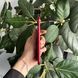 Смартфон Apple iPhone XR, 64GB, 2018, RED, АКБ 78%  2000000102139 фото 5