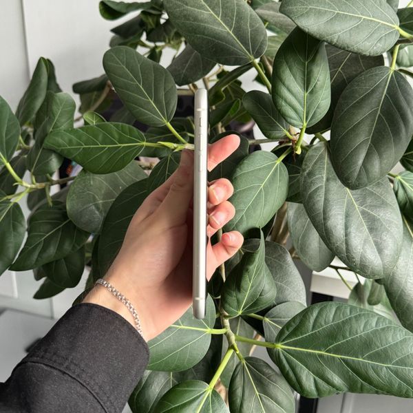 iPhone 11, 2019, 64GB, White, АКБ 100% 2000000102153 фото