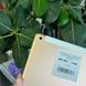 iPad 6Gen 9.7&rsquo;&rsquo;, 2018, 128GB, WI-FI, (A1954), АКБ 78% "Rose Gold" No Touch ID 2000000097183 фото 4