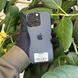 iPhone 16 Pro, 2024, 256GB, Black Titanium, АКБ 91% E-sim 2000000094366 фото 3