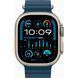 Apple Watch Ultra 2 Gen, 49mm&rsquo;&rsquo;, 2023, GPS+LTE" Natural Titanium Ceramic Case" АКБ 90-100%   фото 1
