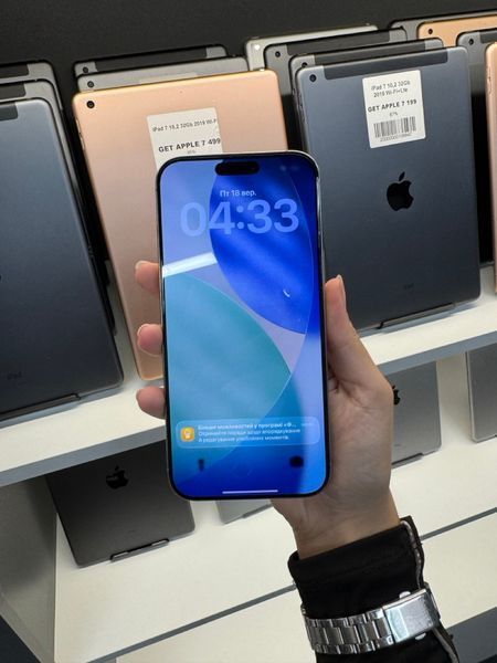 iPhone 16 Pro Max, 2024, 256GB, Natural Titanium, Nano-sim АКБ 99% 2000000111063 фото